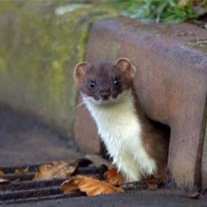 Meet your Posher, Kendra